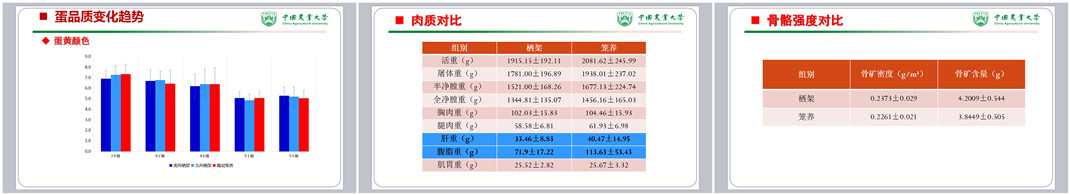 88858cc(Macau)޹˾