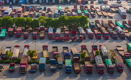 九五至尊VI-老品牌值得信任!