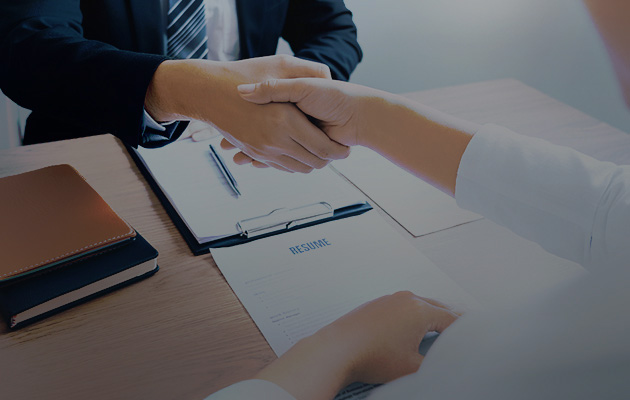 参与九五至尊VI